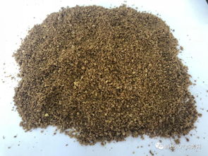 魚價低迷期如何降低餌料成本？養殖戶必看的實用策略